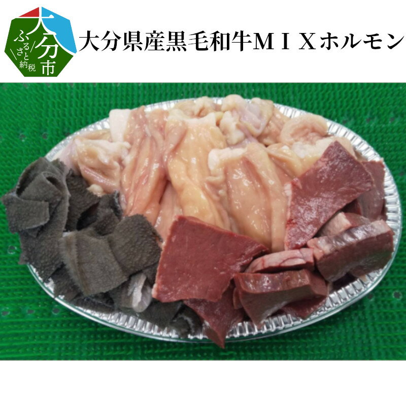 大分県産黒毛和牛MIXホルモン約400g×2パック バーベキュー 焼き肉 ホルモン 大腸 小腸 ギアラ ハツ センマイ 大分産 バーベキュー BBQ 焼肉 キャンプ パーティー おうち時間