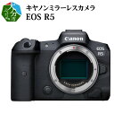 【ふるさと納税】キヤノン ミラーレス カメラ EOS R5 家電 写真 canon 正規品 35mm フルサイズ 約4500万画素 CMOSセンサー搭載 高画質 高感度 ミラーレス一眼 一眼 ノンレフ ノンレフレックス RFマウント 送料無料 R14141