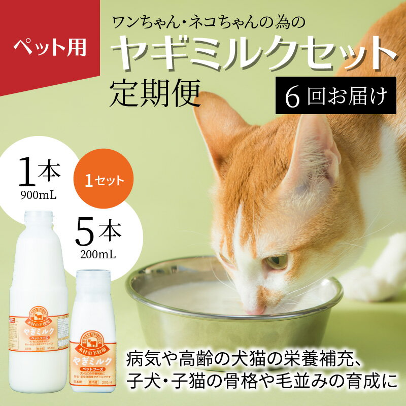 【ふるさと納税】【定期便】ワンちゃん・ネコちゃんの為のヤギミルクセット（6回お届け） 高タンパク 低脂肪 犬 猫 栄養補給 健康 高齢 病気 山羊ミルク ペットフード ペット用ミルク 下痢を起こしにくい 冷凍 T10015 【大分県大分市】