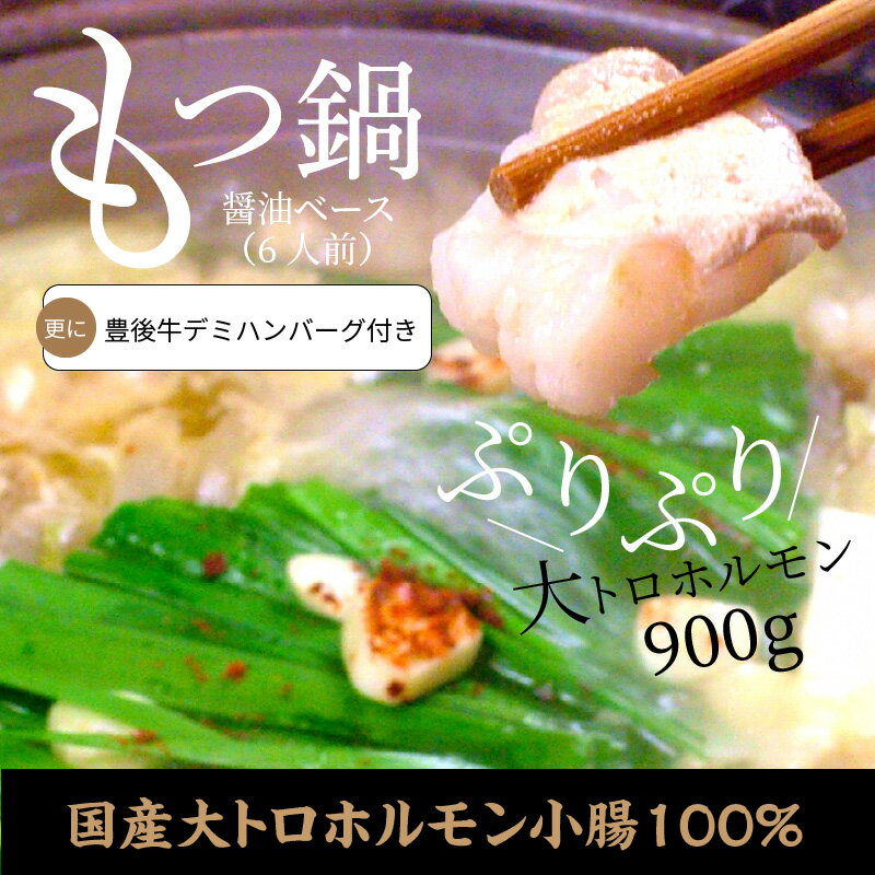 【ふるさと納税】もつ鍋6人前セット国産大トロホルモン小腸100％ 更に豊後牛ハンバーグ付き N01008【大分県大分市】