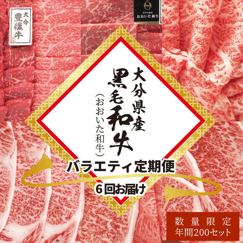 【ふるさと納税】大分県産黒毛和牛（おおいた和牛）バラエティ定期便6回お届け A01082【大分県大分市】