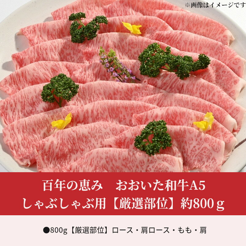 【ふるさと納税】牛肉 おおいた和牛 A5 しゃぶしゃぶ用 約 800g 百年の恵み 豊後牛 肉質4等級以上 霜降り 国産牛 ブランド肉牛 しゃぶしゃぶ 鍋 すき焼き ロース 肩ロース もも 肩 厳選部位 ギフト 贈答 贈り物 冷凍 送料無料 A01102