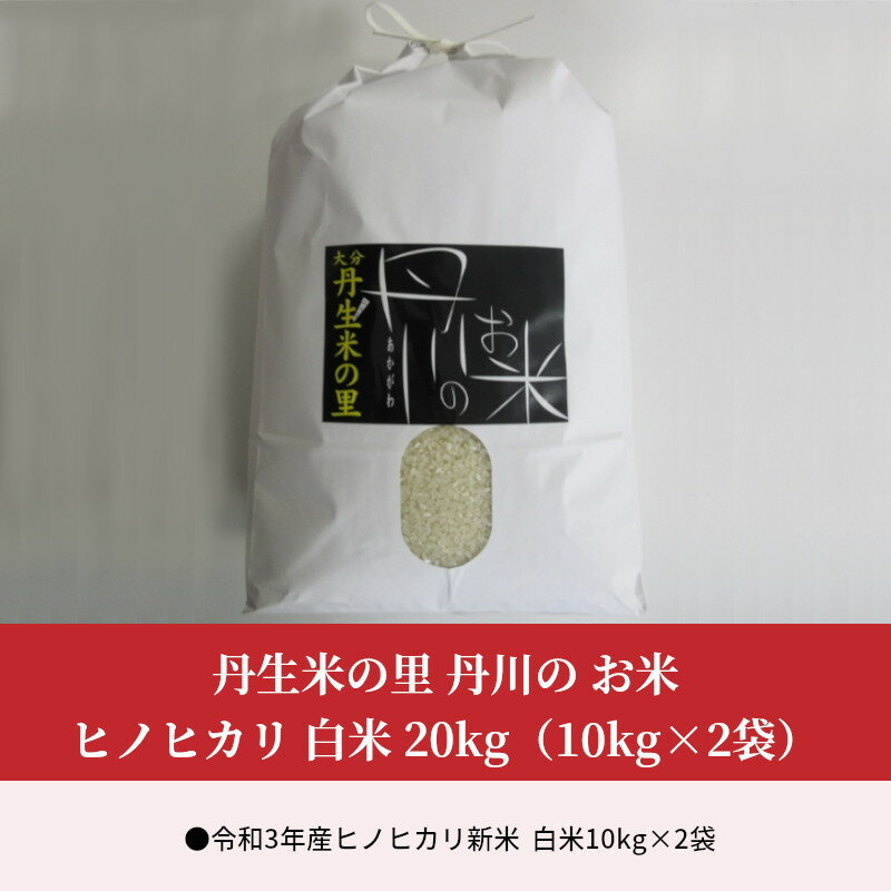 【ふるさと納税】丹生米の里 丹川の お米 ヒノヒカリ 白米 20kg（10kg×2袋） B01029