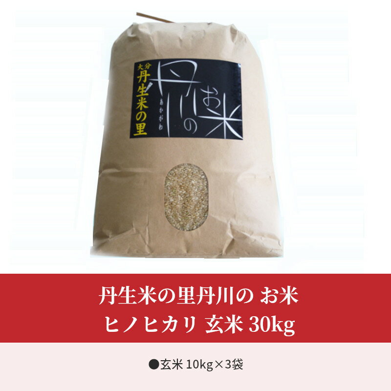 【ふるさと納税】丹生米の里丹川の お米 ヒノヒカリ 玄米 30kg 大分県産 ひのひかり 人気 おすすめ 冷めてもおいしい ごはん おにぎり ブランド米 もっちり 料理 お弁当 美味しい 常温 コスパ 国産 玄米食 食物繊維 お取り寄せ B02010