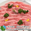 【ふるさと納税】牛肉 おおいた和牛 A5 約 400g 黒毛和牛 スライス しゃぶしゃぶ すき焼き 鍋 百年の恵み 肉質 4等級以上 霜降り 国産 国産牛 ブランド牛 ロース 肩ロース もも 肩 厳選部位 ギフト 贈答 贈り物 食品 お取り寄せ 冷凍 送料無料 A01101