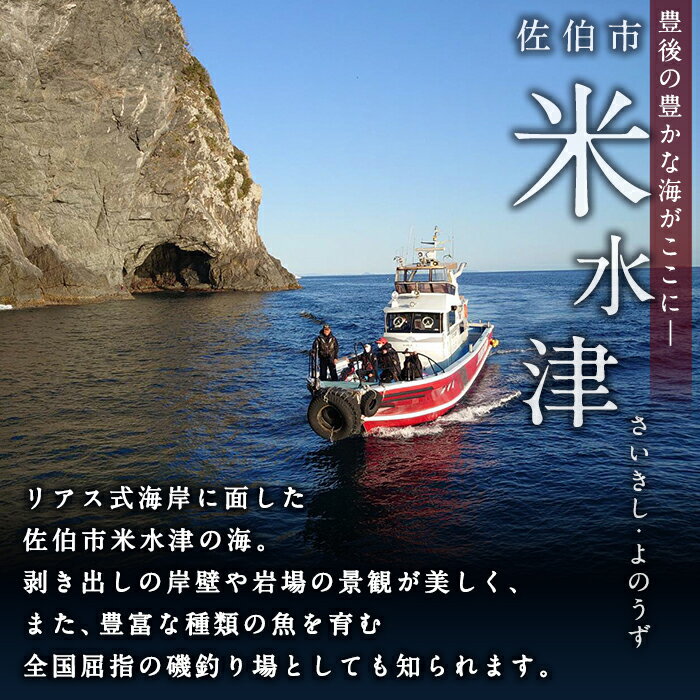 【ふるさと納税】功明丸磯釣り（瀬渡し船）こうめいまる 瀬渡し 送迎券釣り せわたし アウトドア レジャー つり 魚 イカ 磯釣り 大分県 佐伯市【AZ62】【功明丸】その2