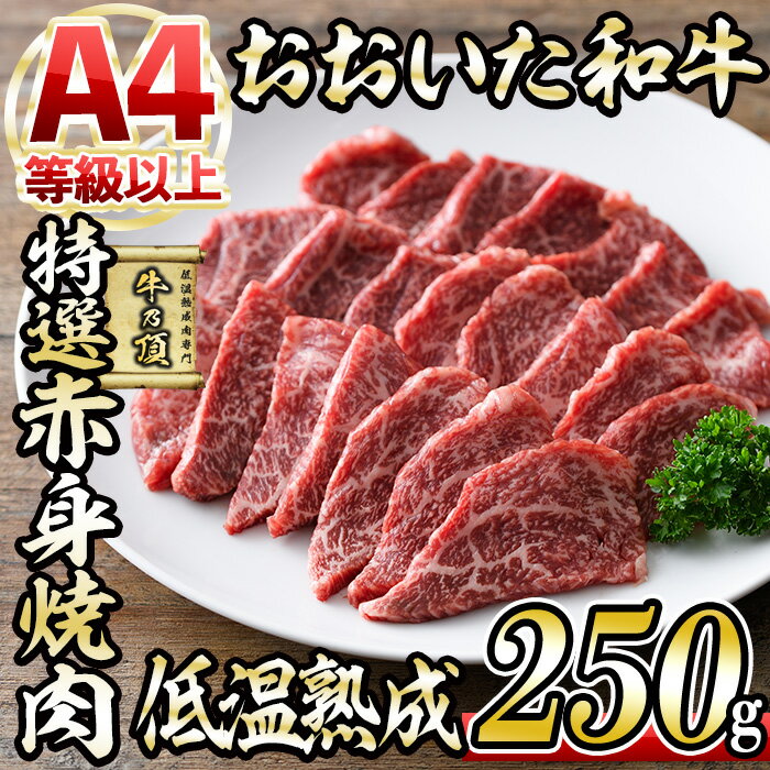 おおいた和牛 特選 赤身 焼肉 (250g) 国産 牛肉 肉 霜降り 低温熟成 ミスジ サンカク A4 和牛 ブランド牛 BBQ 冷凍 大分県 佐伯市[DH239][(株)ネクサ]