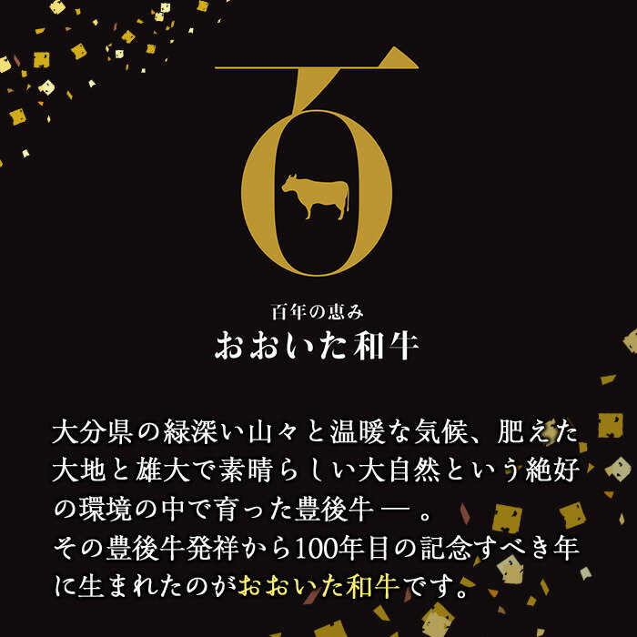 【ふるさと納税】＜訳あり＞おおいた和牛 牛すじ (計1.6kg・400g×4P) 国産 牛肉 肉 牛スジ すじ肉 和牛 ブランド牛 煮込み カレー おでん 冷凍 大分県 佐伯市【DH264】【(株)ネクサ】