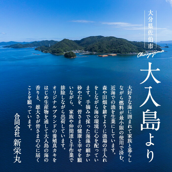 【ふるさと納税】真ガキ 大入島オイスター (約1.3kg) 牡蠣 カキ 貝 海鮮 魚介類 冷蔵 生食可 シングルシード 養殖 大分県 佐伯市【ED08】【(合)新栄丸】