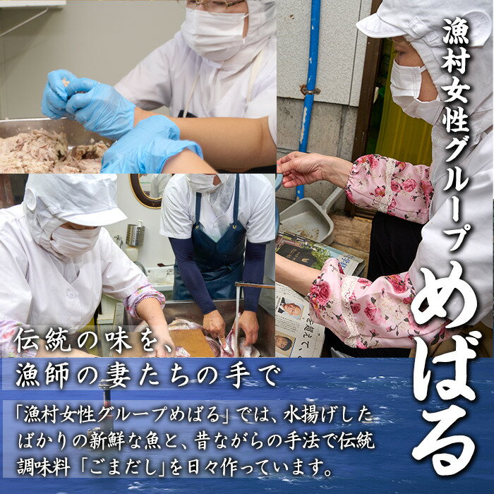 【ふるさと納税】ごまだし 鯛みそ レシピ本 セット (合計550g・佐伯ごまだしレシピ本1冊・あじごまだし200g・えそごまだし200g・鯛味噌150g) 調味料 ご当地 魚 ごま レシピ 常温 【BA63】【(株)漁村女性グループめばる】