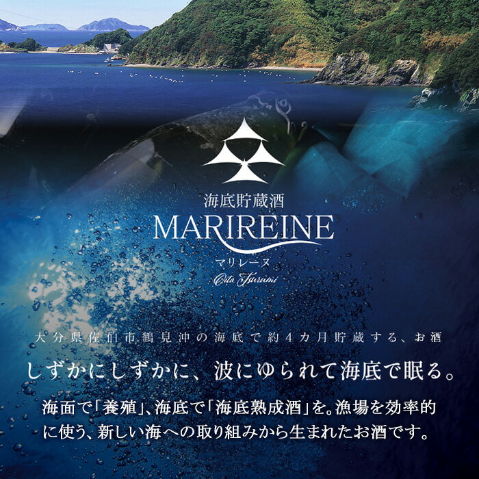 【ふるさと納税】＜先行予約受付中・2024年5月上旬より順次発送予定＞海底貯蔵ワイン 赤 MARIREINE オーベルマチュ パルーザ シラー ヴィオニエ2021(750ml・1本)フランスワイン ワイン 赤ワイン 酒 パーティー マリレーヌ 海底酒 熟成 大分県 佐伯市【FP024】【フルタ酒店】