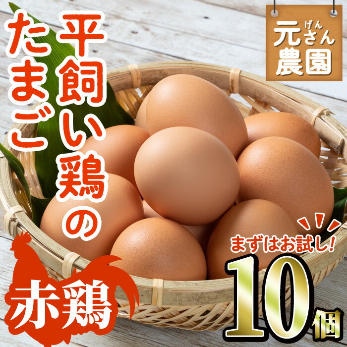 [お試し用] 平飼い赤鶏のたまご (計10個) 元さん農園 卵 玉子 卵かけご飯 玉子焼き 平飼い 鶏 鶏卵 養鶏場直送送 朝採れ 新鮮 大分県 佐伯市 [GE002][ (株)海九]