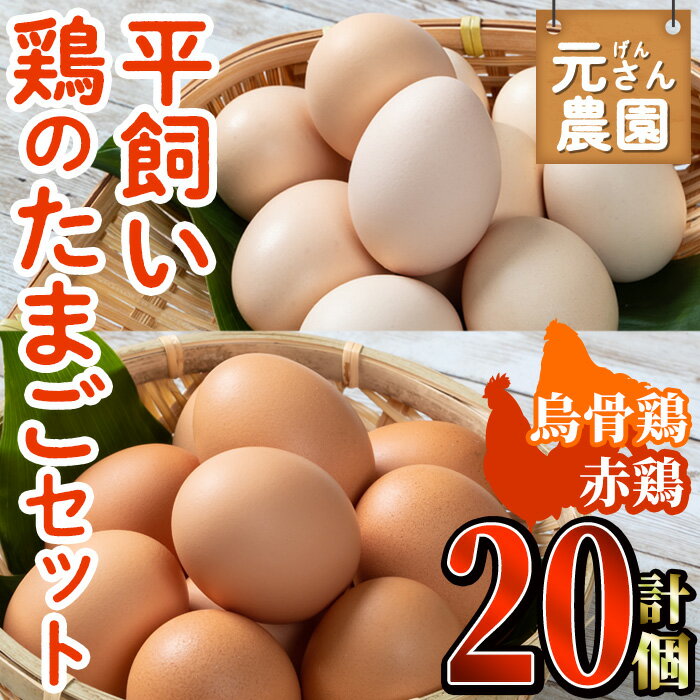 平飼い鶏のたまごセット (合計20個・烏骨鶏たまご10個・赤鶏たまご10個) 元さん農園 卵 玉子 卵かけご飯 玉子焼き 平飼い 鶏 鶏卵 養鶏場直送 朝採れ 新鮮 大分県 佐伯市 [GE004][ (株)海九]