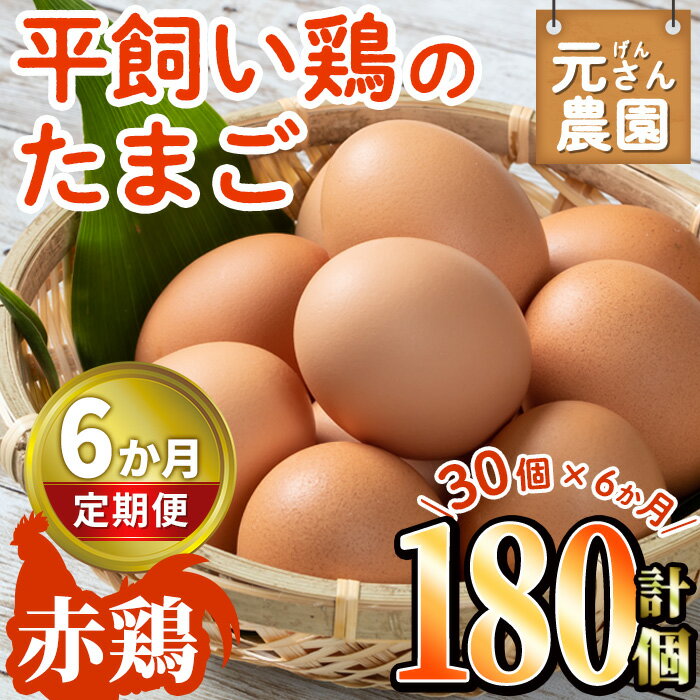 [定期便・全6回 (連続)]平飼い赤鶏のたまご (総量180個・S-Mサイズ30個×6回) 元さん農園 卵 玉子 卵かけご飯 玉子焼き 平飼い 鶏 鶏卵 養鶏場直送 朝採れ 新鮮 大分県 佐伯市 [GE005][ (株)海九]