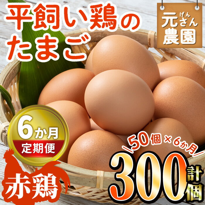 【ふるさと納税】＜定期便・全6回 (連続)＞平飼い赤鶏のたまご (総量300個・S-Mサイズ50個×6回) 元さん農園 卵 玉子 卵かけご飯 玉子焼き 平飼い 鶏 鶏卵 養鶏場直送 朝採れ 新鮮 大分県 佐伯市 【GE006】【 (株)海九】