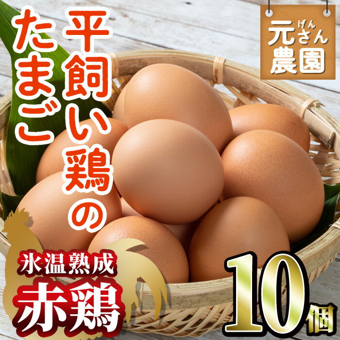 [氷温熟成]平飼い赤鶏のたまご 黄嬉 (計10個) 元さん農園 卵 玉子 卵かけご飯 玉子焼き 平飼い 鶏 鶏卵 養鶏場直送 朝採れ 新鮮 大分県 佐伯市 [GE007][ (株)海九]