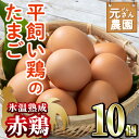 【ふるさと納税】<氷温熟成>平飼い赤鶏のたまご 黄嬉 (計10個) 元さん農園 卵 玉子 卵かけご飯 玉子焼き 平飼い 鶏 鶏卵 養鶏場直送 朝採れ 新鮮 大分県 佐伯市 【GE007】【 (株)海九】