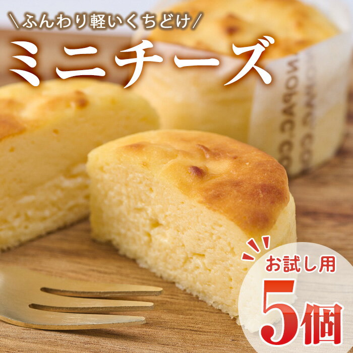 [お試し用]濃厚チーズケーキ (計5個) チーズケーキ チーズ スイーツ 冷凍 お菓子 おやつ 焼き菓子 お取り寄せ 大分県 佐伯市[AJ74][(有)ケーキ大使館クアンカ・ドーネ]