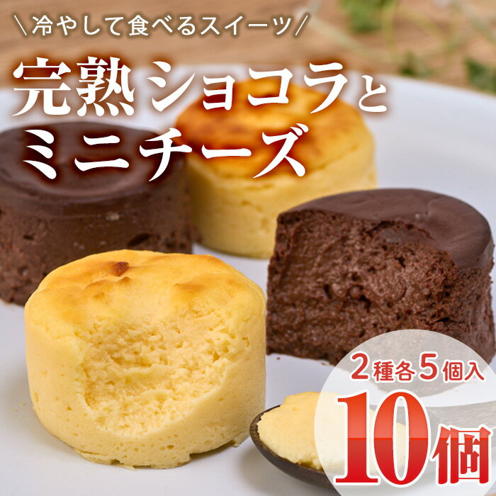 濃厚ショコラ・チーズケーキ (合計10個・2種×5個) チーズケーキ チーズ スイーツ 冷凍 お菓子 おやつ 焼き菓子 お取り寄せ 大分県 佐伯市[AJ75][(有)ケーキ大使館クアンカ・ド−ネ]