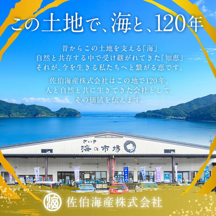 【ふるさと納税】老舗海産物問屋 選りすぐり 佃煮 出汁 セット (2種) いりこ かつおぶし ダシ 味噌汁 煮物 隠し味 おつまみ おやつ セット 詰合せ 大分県 佐伯市【BQ85】【佐伯海産(株)】