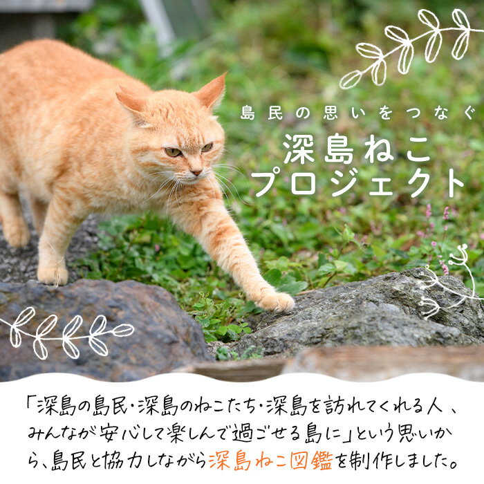 【ふるさと納税】深島ねこ図鑑vol.2 (1冊) 猫 ねこ 写真集 本 雑誌 書籍 深島 猫の島 グッズ 大分県 佐伯市 【HD68】【 さいき本舗 城下堂】