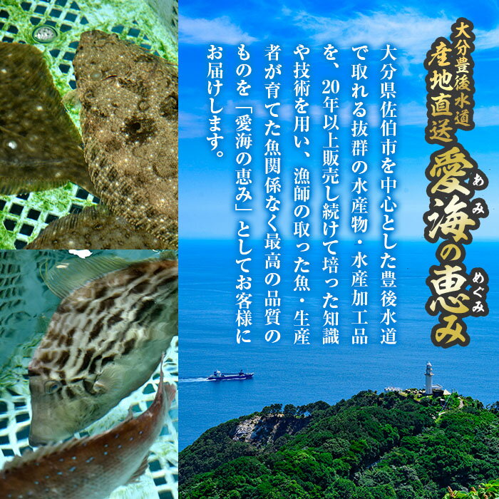 【ふるさと納税】天然 血鯛 (約2kg・計5-7枚) 直送 産直 漁師 魚 鮮魚 天然 チダイ 鯛 白身魚 獲れたて 刺身 煮つけ 塩焼き 冷蔵 豊後水道 鮮魚 大分県 佐伯市【CS03】【 (有)丸昌水産】