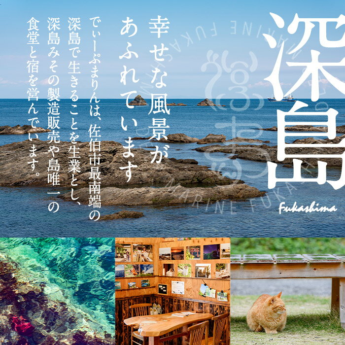 【ふるさと納税】深島みそ (計約2kg・680g×3個) 味噌 みそ 味噌汁 麹 調味料 安部さん 手作り 【EK01】【でぃーぷまりん】【EK01】【でぃーぷまりん】