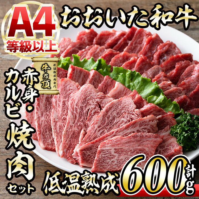 おおいた和牛 特選 焼肉 セット (合計600g・赤身300g+カルビ300g) 国産 牛肉 肉 霜降り 低温熟成 A4 和牛 ブランド牛 カルビ BBQ 冷凍 大分県 佐伯市[DH214][(株)ネクサ]