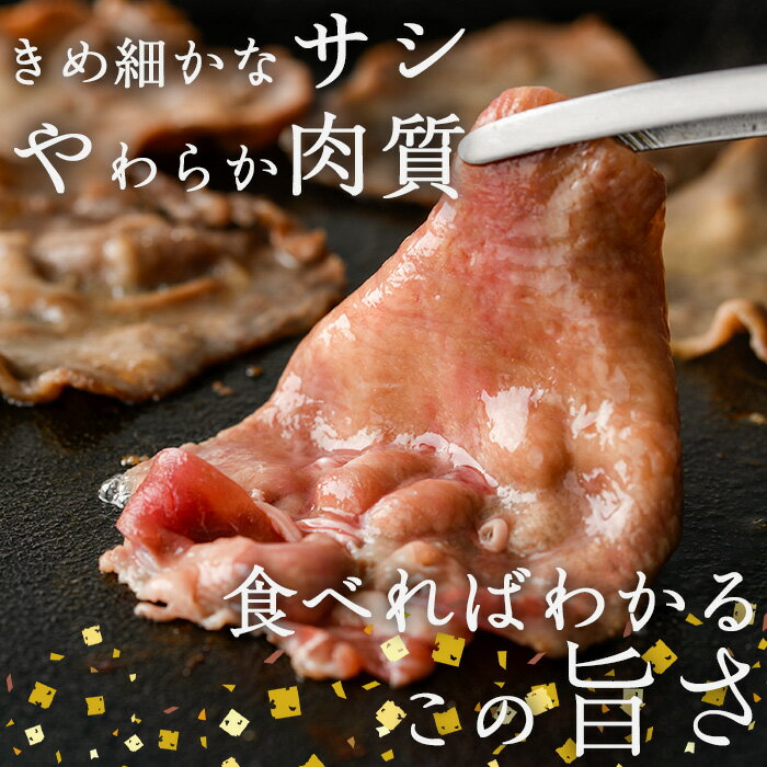 【ふるさと納税】＜ 内容量 ・ お届け回数が選べる ＞ 薄切り 塩味 牛タン (計200g-7.2kg：1・3・6・12回) 定期便 小分け 牛肉 肉 タン 牛たん 味付け 焼肉 塩 BBQ 冷凍 大分県 佐伯市【DH266・DH281・DH282・DH318・DH319・DH320】【ネクサ】