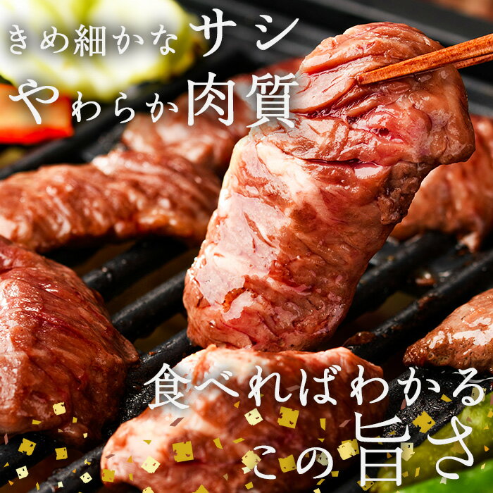 【ふるさと納税】＜ 内容量 ・ お届け回数が選べる ＞ プライム牛 塩ハラミ(計200g-4.8kg：1・3・6・12回) 小分け 牛肉 肉 ハラミ 牛はらみ 味付け 焼肉 塩 BBQ 冷凍 定期便 大分県 佐伯市【DH294・DH295・DH296・DH321・DH322・DH323】【ネクサ】