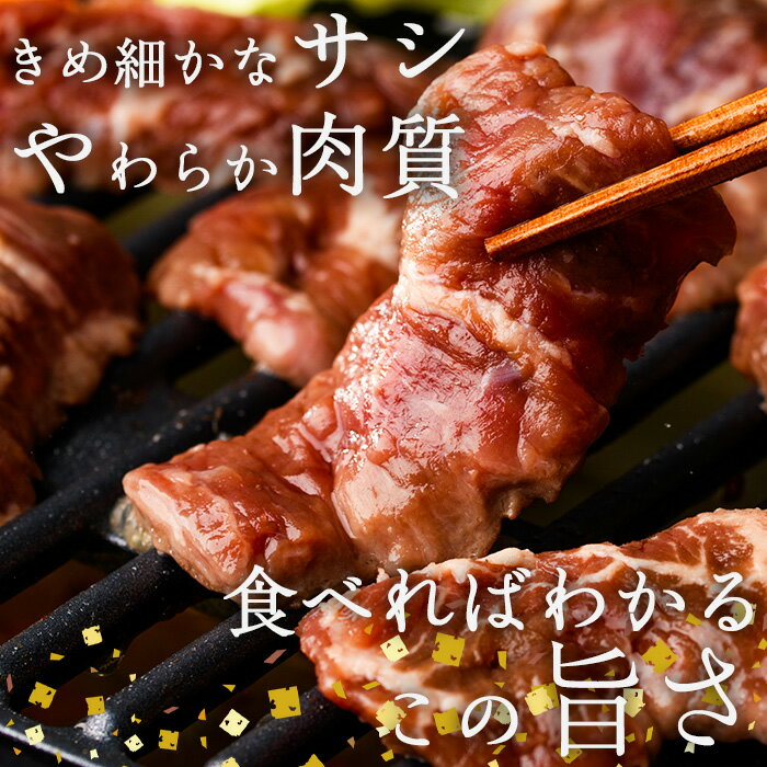 【ふるさと納税】＜ 内容量 ・ お届け回数が選べる ＞塩味 牛ハラミ (計200g-7.2kg：1・3・6・12回) 定期便 小分け 牛肉 肉 ハラミ 牛はらみ 味付け 焼肉 塩 BBQ 冷凍 大分県 佐伯市【DH297・DH298・DH299・DH324・DH325・DH326】【ネクサ】