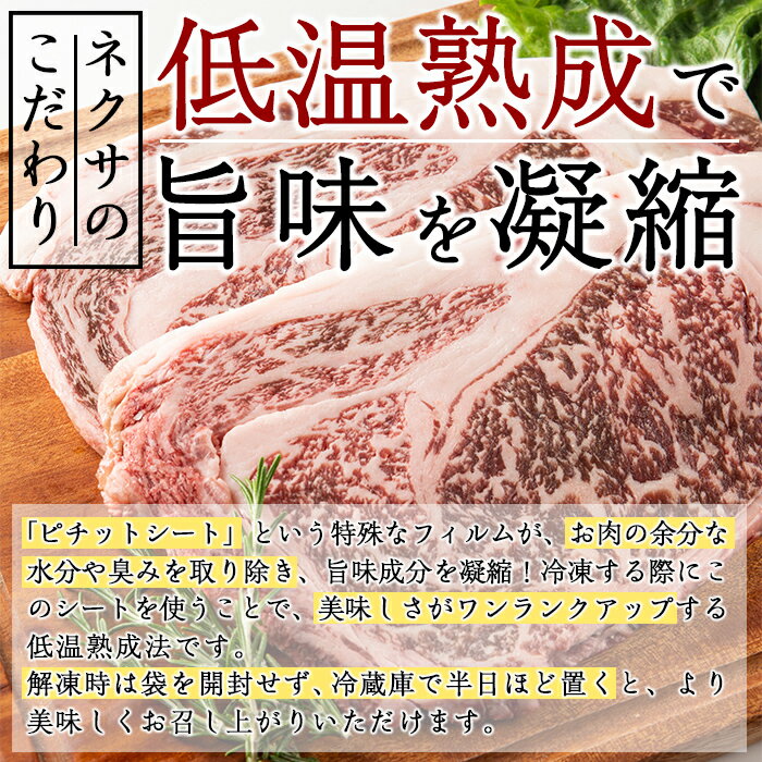 0円 最大98%オフ! ふるさと納税 おおいた和牛A4ランク以上 赤身カルビ焼肉250g 大分県佐伯市 0円 最大98%オフ! ふるさと納税 おおいた和牛A4ランク以上 赤身カルビ焼肉250g 大分県佐伯市
