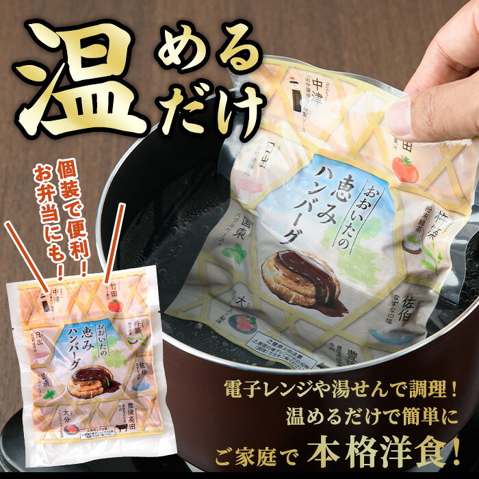 【ふるさと納税】佐伯市の「なずなの塩」使用 !大分の恵みハンバーグ (計約1.6kg・160g×10個) ハンバーグ 冷凍ハンバーグ 合い挽き 小分け 個包装 簡単 湯せん 温めるだけ 冷凍 レトルト おかず 惣菜 【DT05】【全国農業協同組合連合会大分県本部】 f442054-saiki-10002245 大分県佐伯市 サンプル画像2