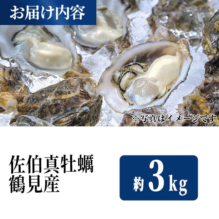 【ふるさと納税】佐伯真牡蠣 鶴見産 (約3kg) 数量限定 牡蠣 カキ 新鮮 小分け 生牡蠣 生カキ カキフライ 鍋 大分県 佐伯市【生食可】【EW062】【(株)Up】