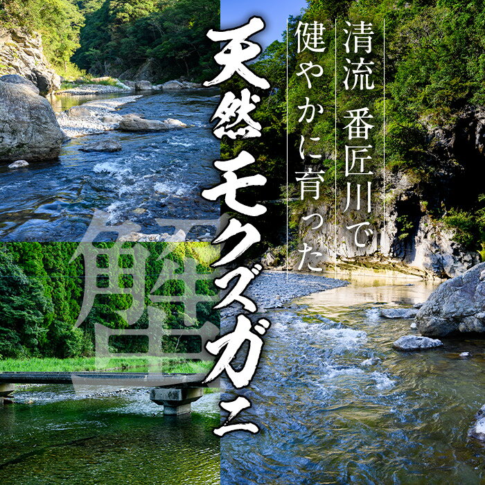 【ふるさと納税】モクズガニ 鍋 スープ (約700g) 蟹 カニ もくずがに モクズガニ汁 がん汁 蟹汁 蟹鍋 海鮮鍋 スープ 出汁 大分県 佐伯市 【FB03】【旬彩一会・仁】