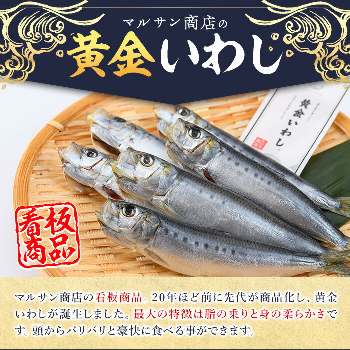 【ふるさと納税】＜訳あり＞黄金いわし (60尾以上) 黄金 いわし イワシ 丸干し 魚 海鮮 冷凍 おつまみ 小分け【GX002】【(有)マルサン商店】 3