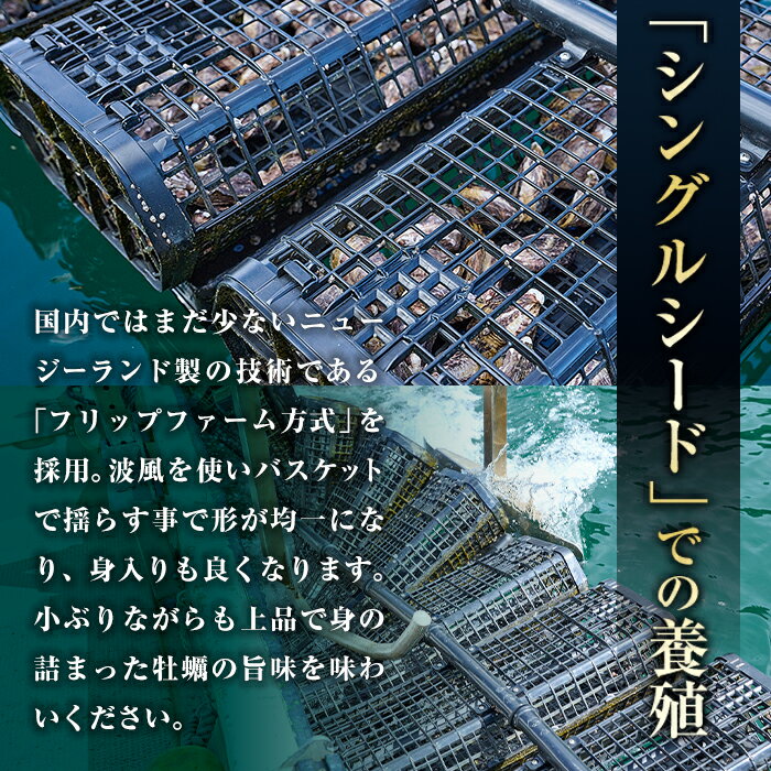 大分県佐伯市の画像3
