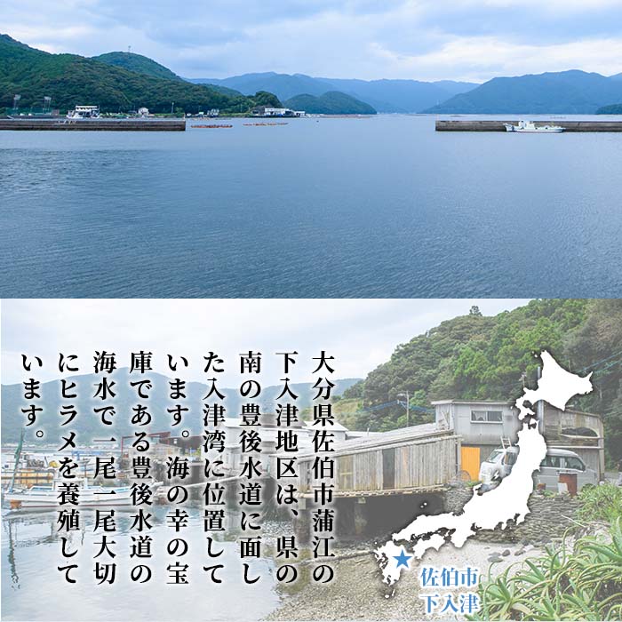 花咲がに甲羅盛　65gX4　【送料無料】
