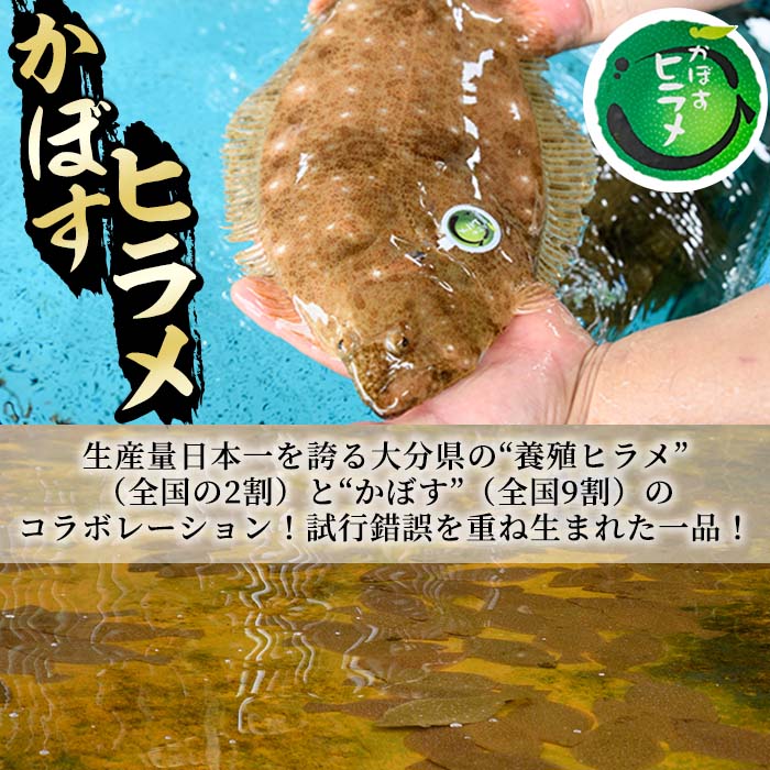 花咲がに甲羅盛　65gX4　【送料無料】