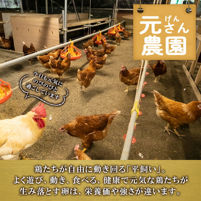 【ふるさと納税】＜訳あり・規格外＞ 平飼い赤鶏のたまご (計54個) 元さん農園 卵 玉子 卵かけご飯 玉子焼き 平飼い 鶏 鶏卵 養鶏場直送 新鮮 大分県 佐伯市 【GE008】【 (株)海九】