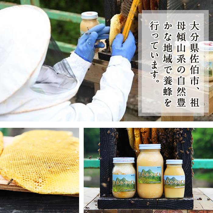 【ふるさと納税】国産 はちみつ (600g) ハチミツ 蜂蜜 ロイヤルゼリー 調味料 スイーツ 多賀さん採蜜 大分県 佐伯市【AY66】【(公財)さいき農林公社】