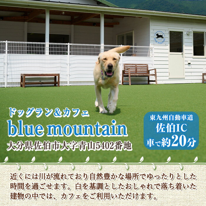 大分県佐伯市の【ふるさと納税】メール便でお届け！ドッグラン利用券(1頭5回分) 犬 ワンちゃん ペット チケット 体験 レジャー 自然 屋内 屋内 ラン 川遊び ポスト投函 大分県 佐伯市【HI002】【ドッグラン＆カフェblue mountain】｜アングル2