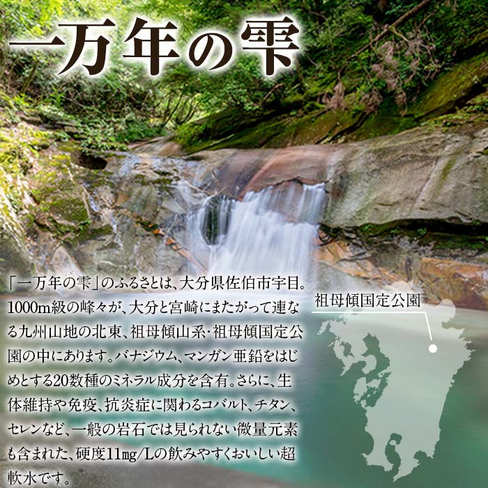 【ふるさと納税】ミネラルウォーター 一万年の雫 軟水 (計12L・500ml×24本) 国産 お水 ミネラル 天然 料理 健康 維持 大分県 佐伯市 防災 常温 常温保存【BM76】【 (株)ウェルトップ】