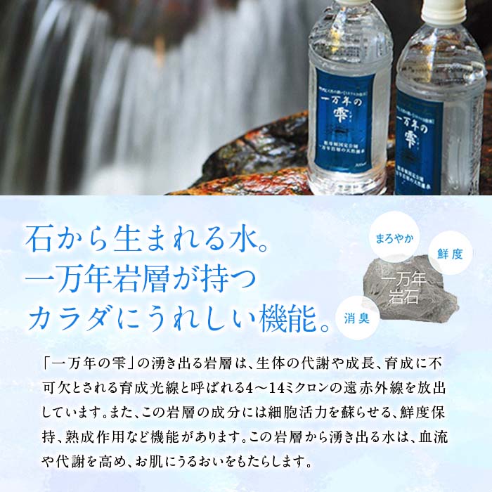 【ふるさと納税】【毎月宅配】「一万年の雫」(500ml×24本)祖母傾山系、一万年岩層の天然超軟水