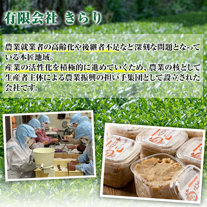 【ふるさと納税】因尾茶 ティーバッグ (計66個・22個入×3袋) お茶 緑茶 茶 煎茶 ティーバッグ 釜炒り 因尾茶 特産品 お取り寄せ 大分県 佐伯市【AH67】【(有)きらり】