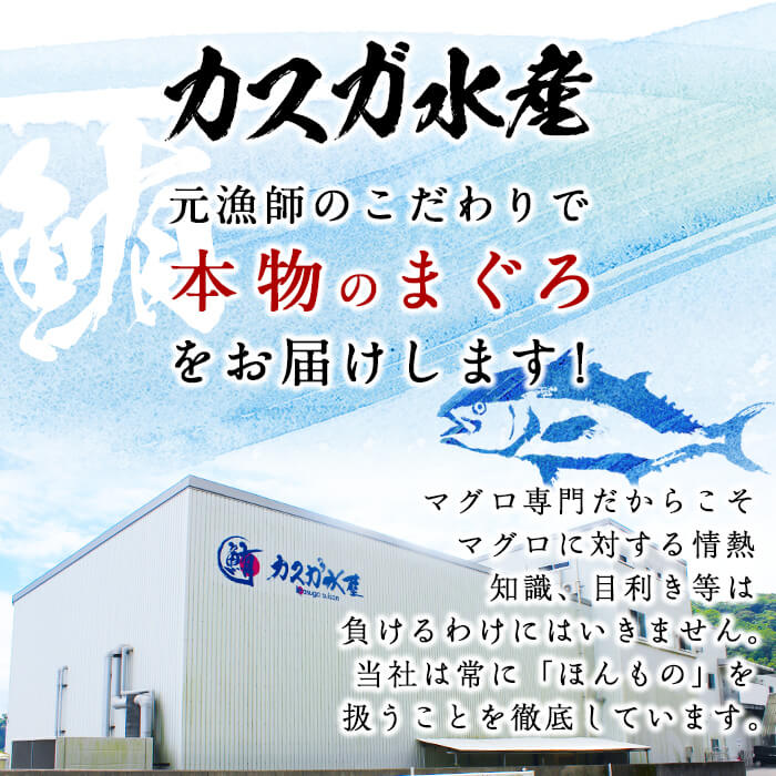 【ふるさと納税】佐伯市産本マグロ 中トロ・赤身 食べ比べ(合計約400g・中トロ200g・赤身200g) 中とろ あかみ セット マグロ 鮪 刺身 さしみ 魚 海鮮 冷凍 大分県 佐伯市【DH258】【(株)ネクサ】