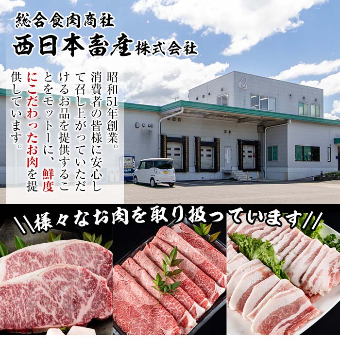 【ふるさと納税】おおいた 和牛 ヒレステーキ (計400g・約100g×4枚) 国産 ステーキ 牛肉 豊後牛 BBQ バーベキュー 焼肉 ヒレ ヒレ肉 惣菜 大分県 佐伯市【BD204】【西日本畜産 (株)】