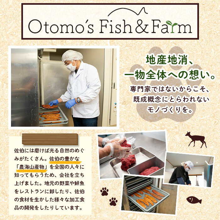 【ふるさと納税】ブリのからすみ ブリッタルガ パウダー (計120g・30g×4P) からす...