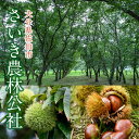 大分県佐伯市の画像2