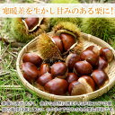 大分県佐伯市の画像3
